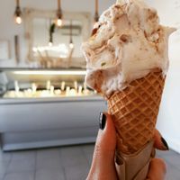 Fig nut at Miinot Gelato in Pascoe Vale South