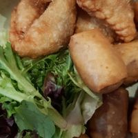 Spring rolls and curry puffs at Brunswick Mess Hall in Brunswick