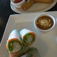 Spring rolls at noodles at BTH - Alliance Town Square in Fort Worth