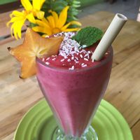 delicious smoothie at Garden of Eden in Santa Elena De Monteverde