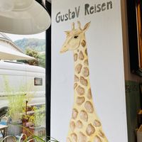   at GustaV in Salzburg