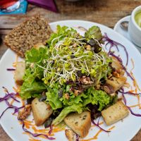  at GustaV in Salzburg