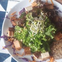  at GustaV in Salzburg