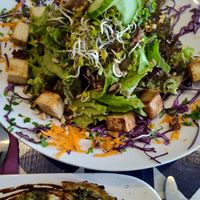 Salad at GustaV in Salzburg