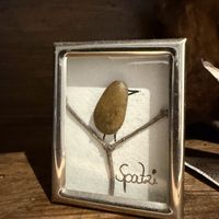 art  at GustaV in Salzburg