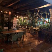 Beautiful courtyard out back  at 100% Natural in Cancun