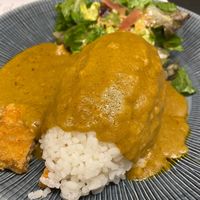 Vegan Katsu curry at Wagamama in Maidstone