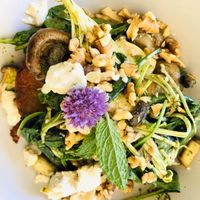 Potato hash browns with mushrooms, vegan feta, greens, walnuts, so filling and delicious  at Kallista Tea Rooms in Kallista