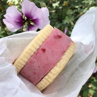 Yummy Vegan Shortbread and Strawberry  at Curbside Creamery in Oakland