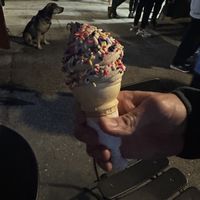 Sprinkles are vegan  at Curbside Creamery in Oakland