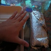 This burrito made me go "what the fuck who makes burritos this big?!" at Homegrown Smoker in Portland