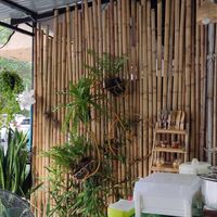  at Vegan Khunnay in Koh Samui