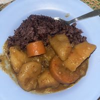 Buffet: massaman curry and rice  at Vegan Khunnay in Koh Samui