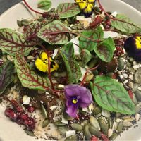 GF porridge  at Sprout Wholefood Cafe and Grocer in Naremburn