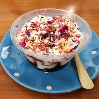 Berry tiramisu at Green Gourmet in St Leonards