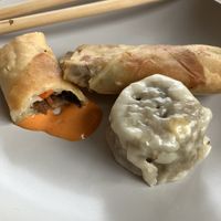 Duck spring rolls and mushroom dim sim  at Green Gourmet in St Leonards