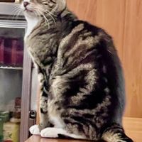   at Green Gourmet in St Leonards