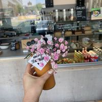 Never sick juice!  at Greentrees The Juicery - Münsterstr in Dusseldorf