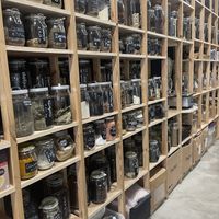 Bulk   at A Factoria Verde in A Coruna