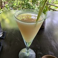Ginger Tonic at Moksa in Ubud
