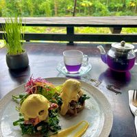 Salmon Benedict – Living bread topped with papaya salmon, swirled spinach, avocado, caramelized onion, fresh spring salad, and silky coconut hollandaise. at Moksa in Ubud