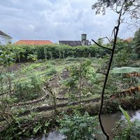   at Moksa in Ubud