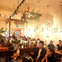 Mukka Experience at Mukka in Fitzroy