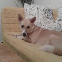 Pastva is pet-friendly :)  at Pastva in Prague