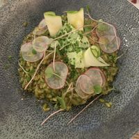 Green risotto! It was okay ☺️  at Pastva in Prague