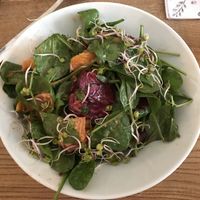 Salad with beetroot, baby spinach and oranges.  at Pastva in Prague
