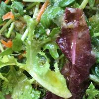 Summer salad - incredible though simple at Chaia - Georgetown in Washington