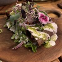 Raw enchiladas   at Elixiba in Maroochydore