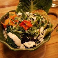 macro bowl with BBQ Jackfruit at Elixiba in Maroochydore