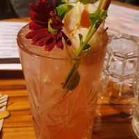 Cocktail at Elixiba in Maroochydore