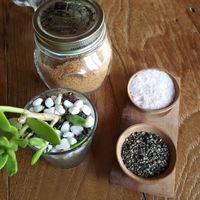 Peloton
 at Pels Supershop in Tibubeneng