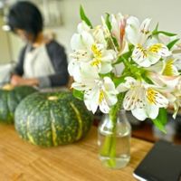 Atmosphere of the store at Kiboko in Tokyo