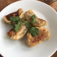 Fried dumplings! at Kiboko in Tokyo