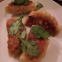 Gyoza at Kiboko in Tokyo