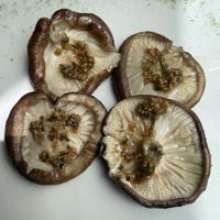 Shirataki  at Ecru in Rome