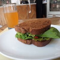 I can't take nice photos of food lol, but I swear it was delicious. They were very generous with the avocado 💗 at Ecru in Rome