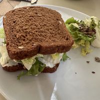 Avocado and cashew cheese sandwich with rye breadd  at Ecru in Rome