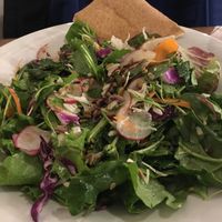 Mixed greens salad. at Ecru in Rome