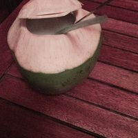 Coco Loco Cocktail at Madre Tierra in Puerto Viejo De Talamanca