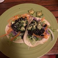   at Madre Tierra in Puerto Viejo De Talamanca