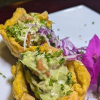  at Madre Tierra in Puerto Viejo De Talamanca