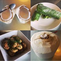 Mushrooms, spring rolls and coconut!  at Nokturne in Houston
