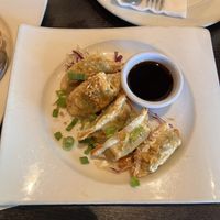 Pot stickers  at Veganic Thai Cafe in San Diego