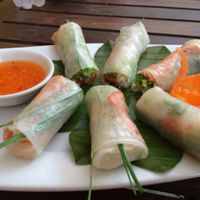 fresh spring rolls  at Hai Cafe in Hoi An