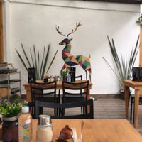 Delightful vegan place at Vegan Ville in Mexico City
