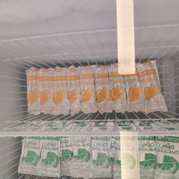  at Sorveteria Inventiva in Belo Horizonte